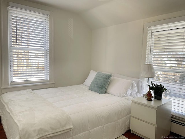 bedroom with lofted ceiling