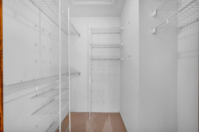 view of walk in closet