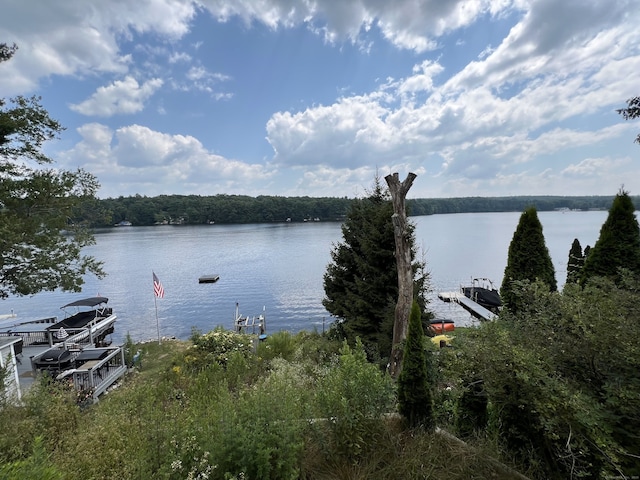 property view of water with a boat dock