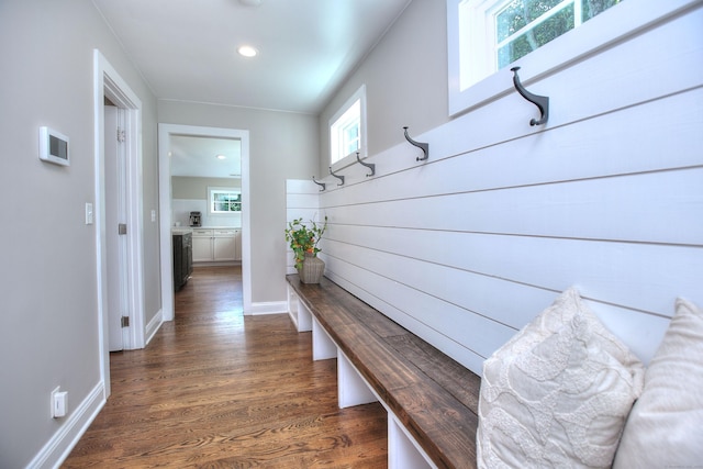 mudroom featuring dark hardwood / wood-style flooring