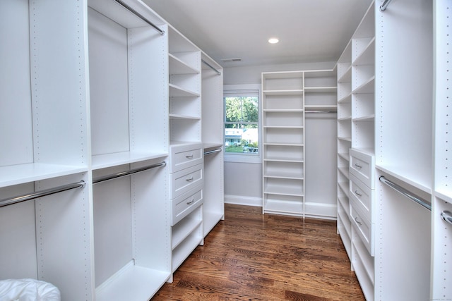 walk in closet featuring dark wood-type flooring