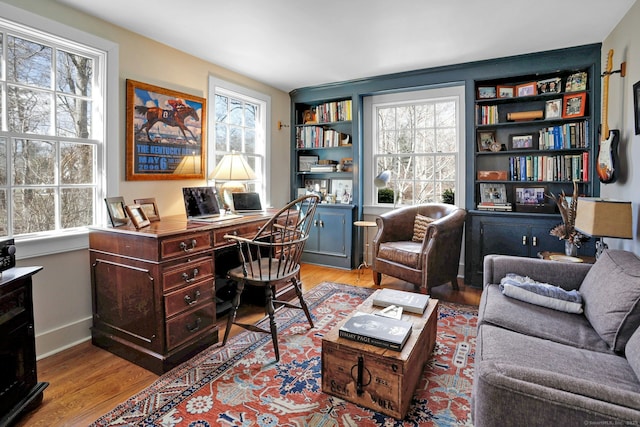 office space with a healthy amount of sunlight and light hardwood / wood-style floors