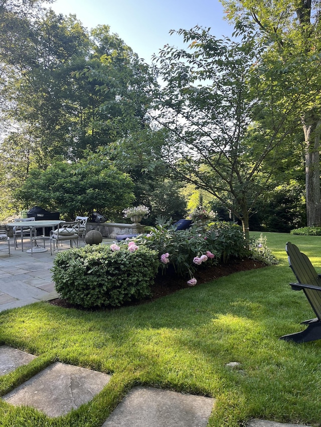 view of yard featuring a patio