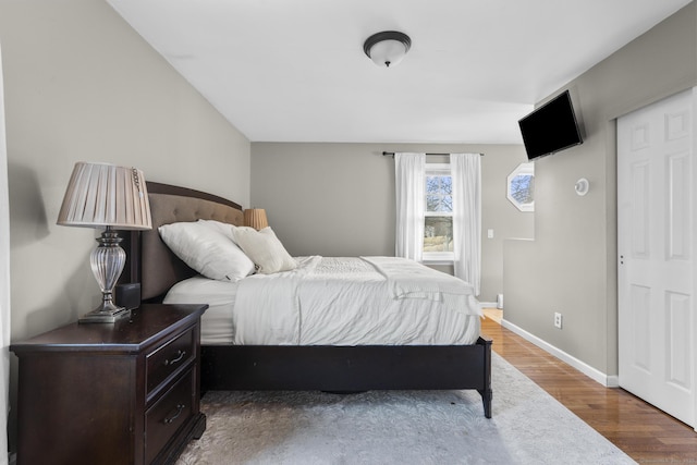 bedroom featuring wood-type flooring