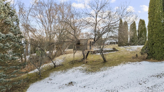 view of snowy yard