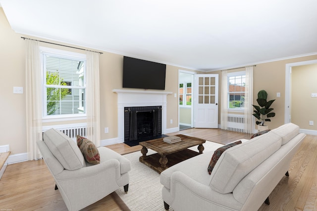 57 Saint James St, West Hartford, CT 06119 - living room with ornamental molding, a fireplace with flush hearth, baseboards, light wood finished floors, and radiator