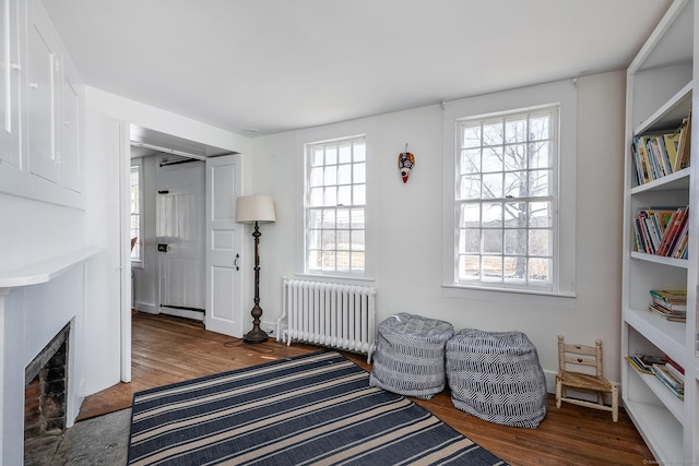 living area with a fireplace, wood finished floors, a wealth of natural light, and radiator