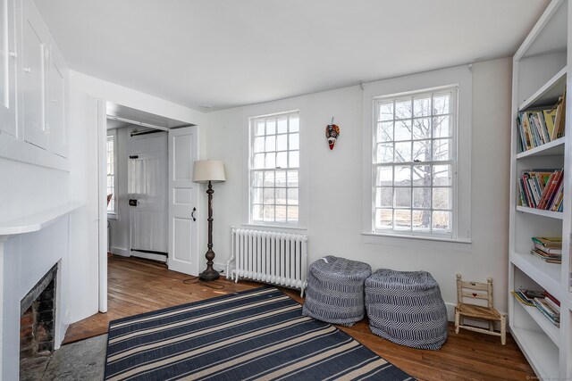 9 Mallory Brook Rd, Washington, CT 06793 - bedroom with radiator heating unit, wood finished floors, and multiple windows