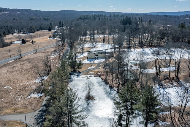 drone / aerial view featuring a view of trees