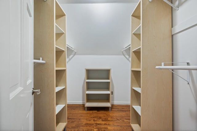 spacious closet featuring dark hardwood / wood-style flooring