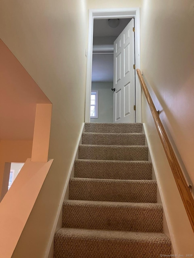 stairs with carpet flooring