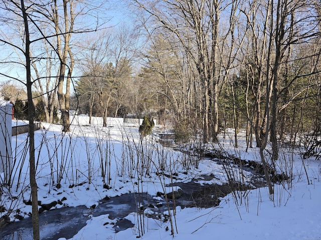view of yard layered in snow