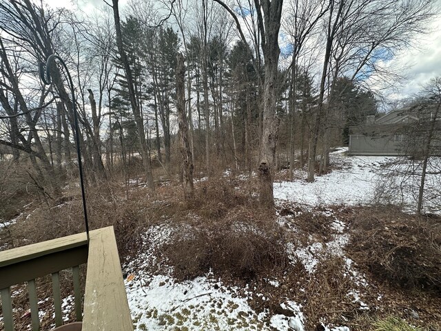 view of yard covered in snow