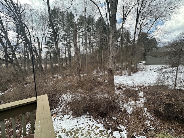 view of yard covered in snow