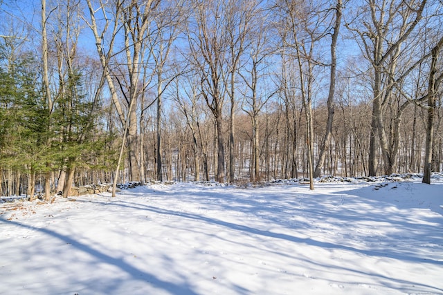 view of yard layered in snow