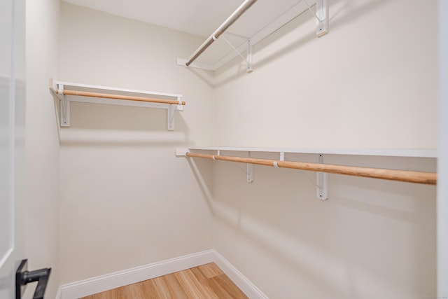 spacious closet with hardwood / wood-style flooring