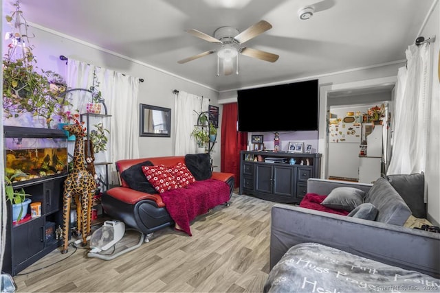 living room featuring crown molding, light hardwood / wood-style flooring, and ceiling fan