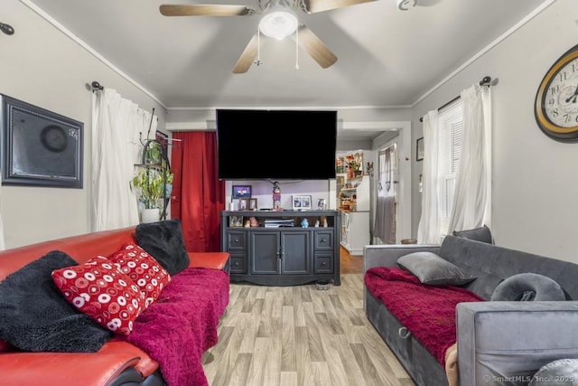 living room with crown molding, ceiling fan, and light hardwood / wood-style floors