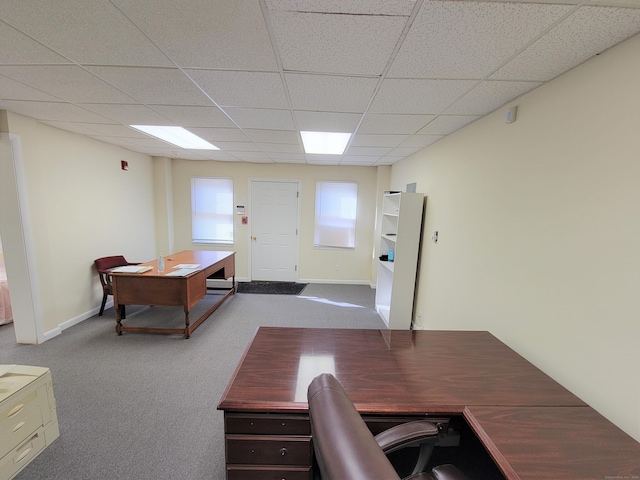 office featuring light colored carpet and a drop ceiling