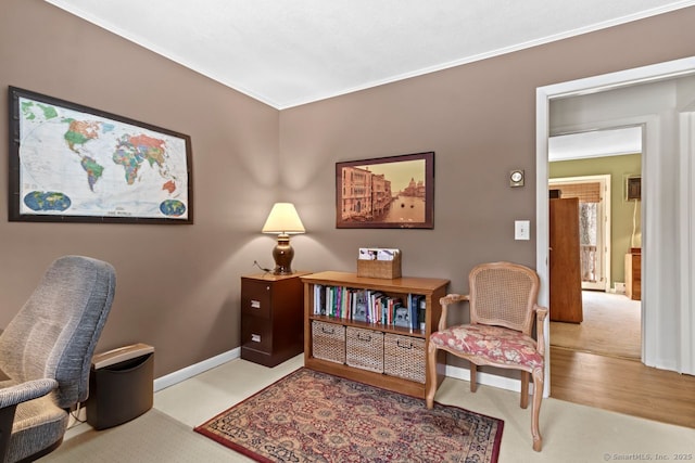 sitting room featuring crown molding and light hardwood / wood-style flooring