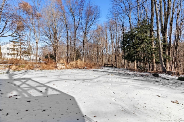 view of snowy yard