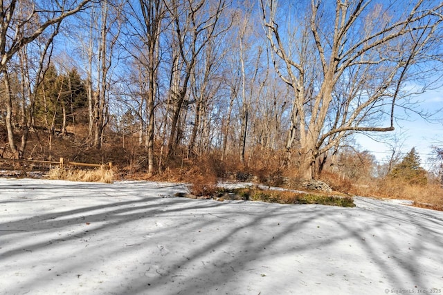 view of yard covered in snow