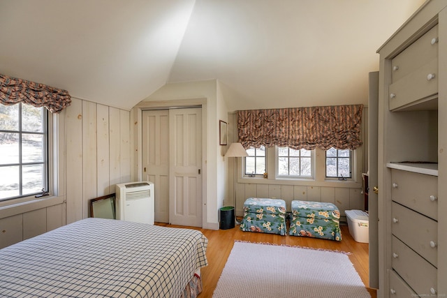 bedroom featuring multiple windows, wood walls, and wood finished floors