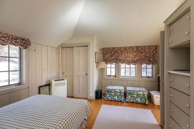 8 Mudgetown Rd, Sharon, CT 06069 - bedroom with wood finished floors, multiple windows, lofted ceiling, and a closet