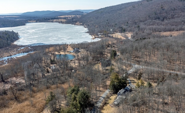 drone / aerial view with a wooded view and a water and mountain view