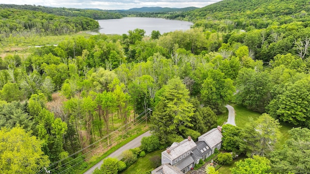 8 Mudgetown Rd, Sharon, CT 06069 - bird's eye view of a heavily wooded area and a large body of water