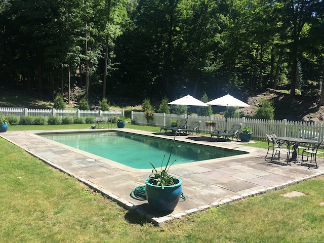 view of swimming pool with a yard and a patio area