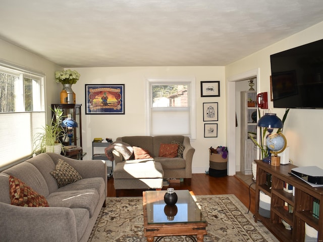 living room featuring wood-type flooring