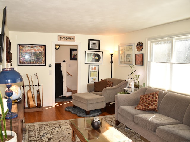 living room featuring wood-type flooring