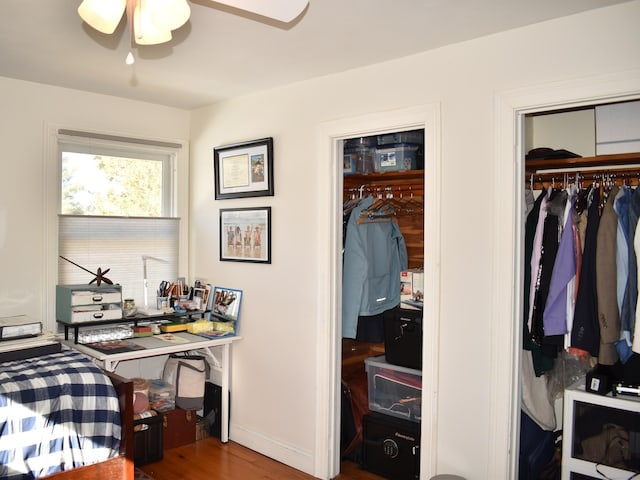 bedroom with two closets, wood-type flooring, and ceiling fan