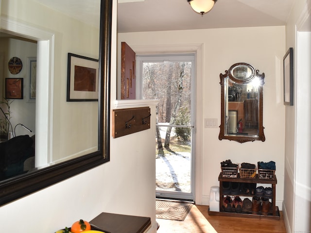 entryway with light wood-type flooring