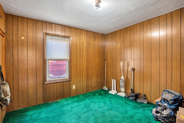 carpeted empty room with wood walls