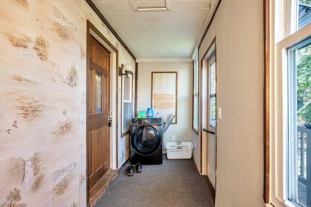 clothes washing area with washer / clothes dryer and carpet flooring