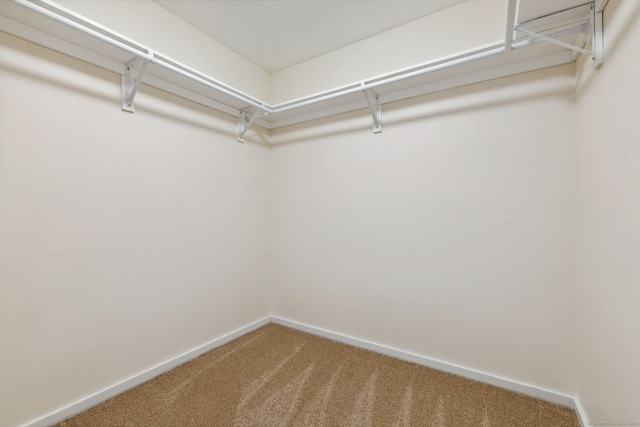 spacious closet with carpet floors