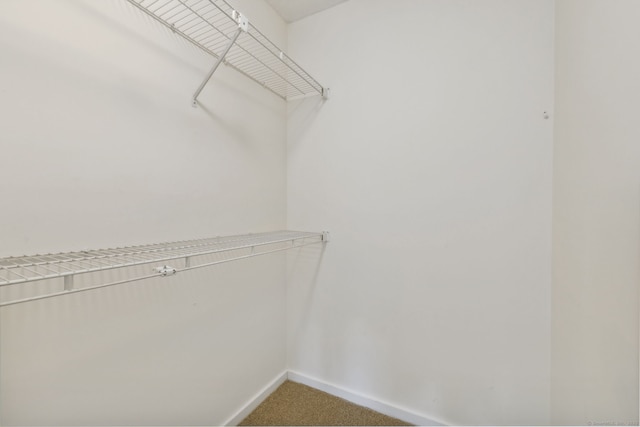 walk in closet with carpet