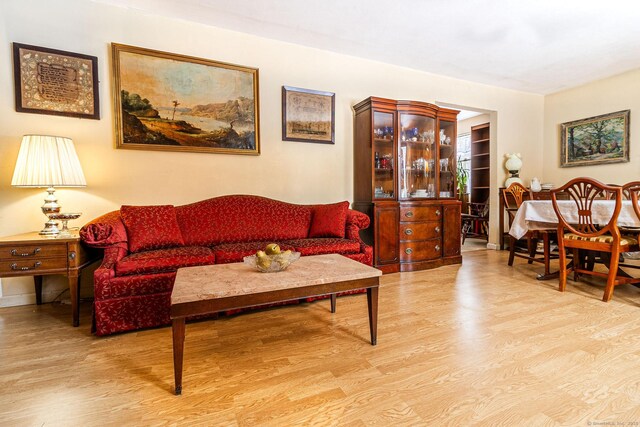 living room featuring light hardwood / wood-style flooring