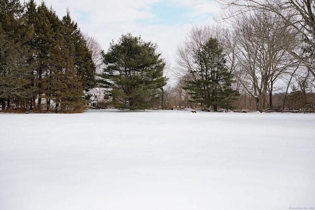 view of snowy yard