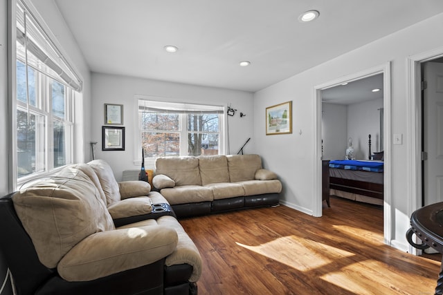 living room featuring hardwood / wood-style flooring