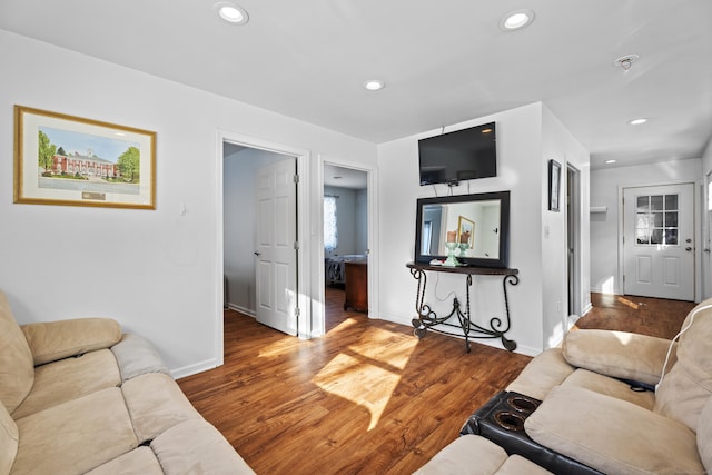 living room with hardwood / wood-style flooring