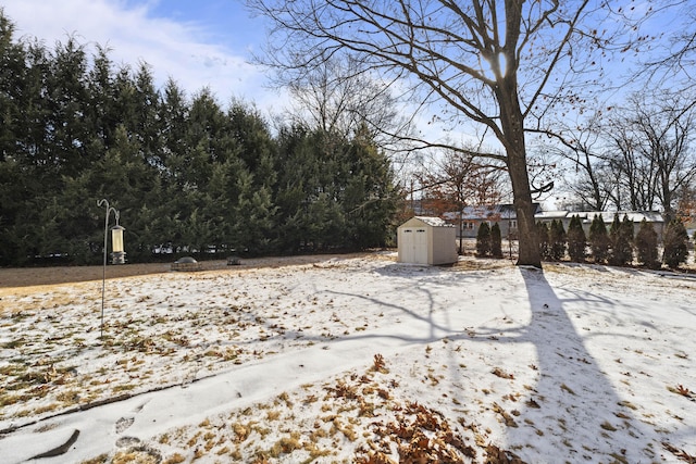 yard covered in snow with a storage shed