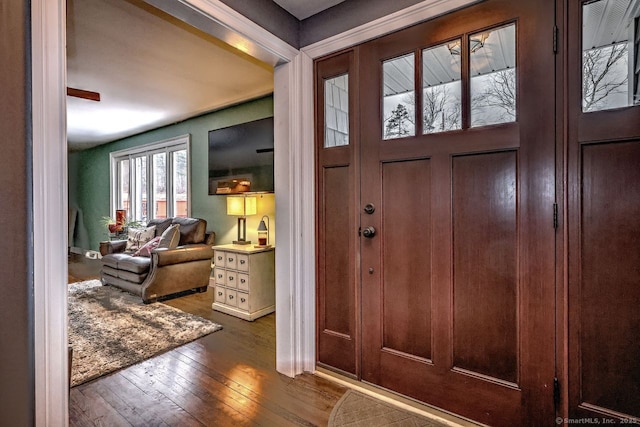 foyer entrance featuring dark hardwood / wood-style flooring