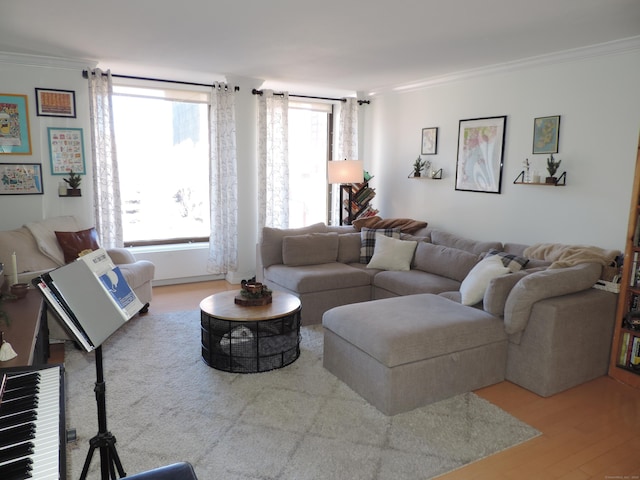 living room with crown molding and hardwood / wood-style floors