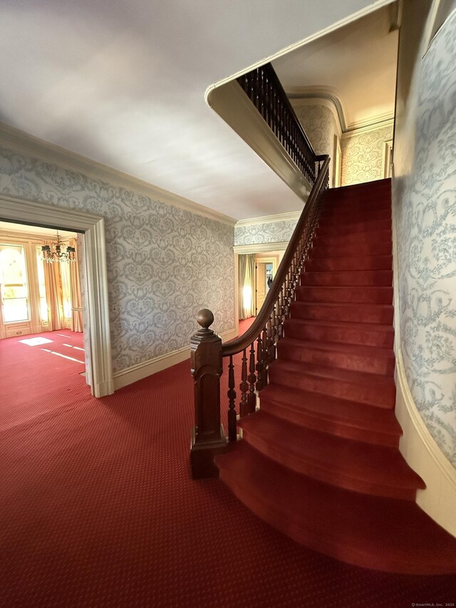 55 Walnut St, Winchester, CT 06098 - stairs featuring crown molding and carpet