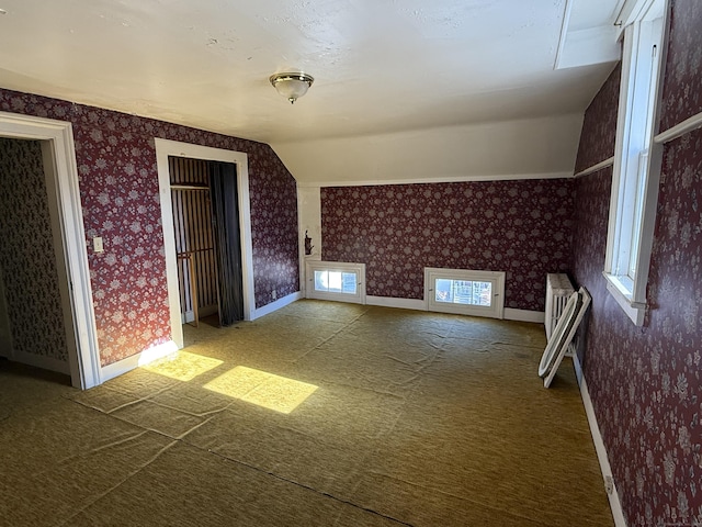 55 Walnut St, Winchester, CT 06098 - additional living space featuring vaulted ceiling and carpet floors