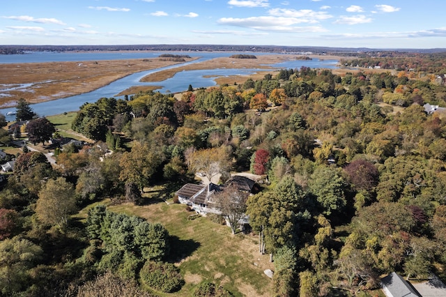 aerial view with a water view and a view of trees