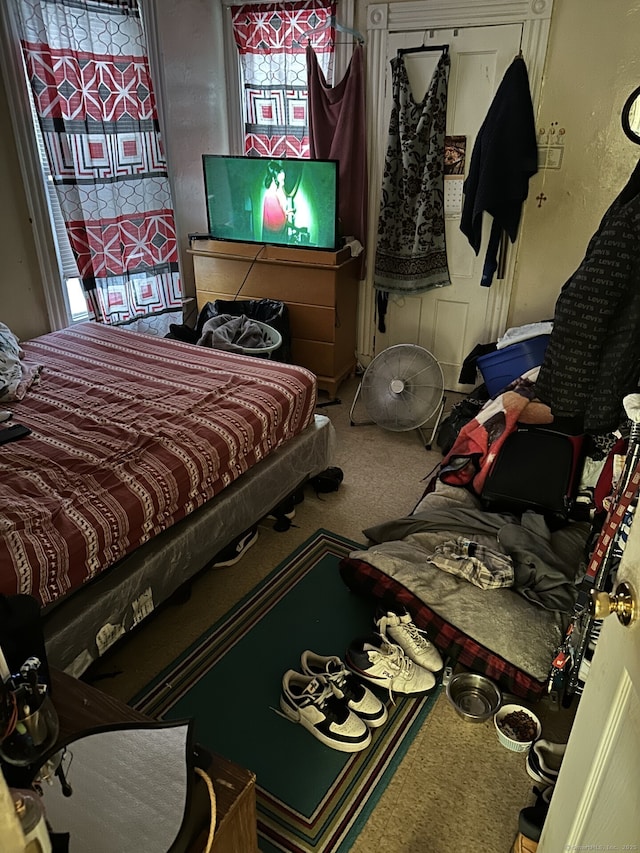 view of carpeted bedroom